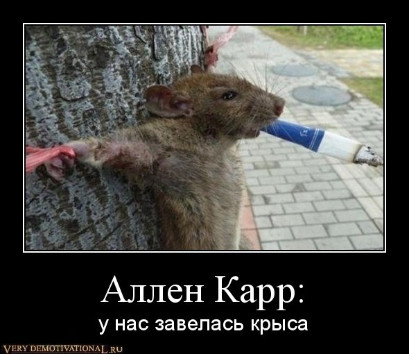Смешнокрыски (все смешное о крысах: фотожабы, котоматрицы, видео) 1331072677-allen-karr