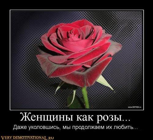 Женщины и розы