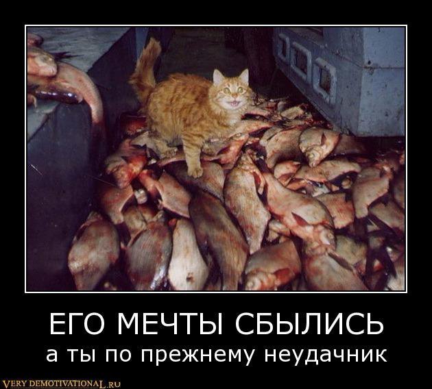 http://verydemotivational.ru/uploads/posts/2011-02/1297461924_cigzbrfgf5l3.jpg
